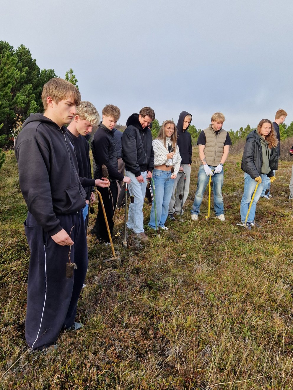 Flensborgarlundur stækkar