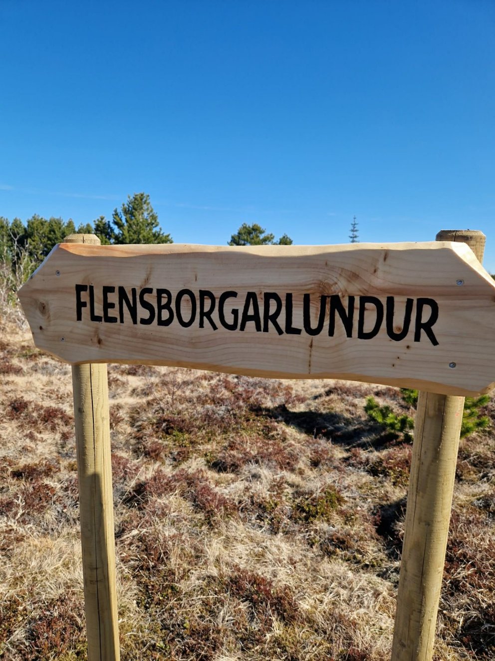 Útskriftarefni gróðursetja í Flensborgarlundi