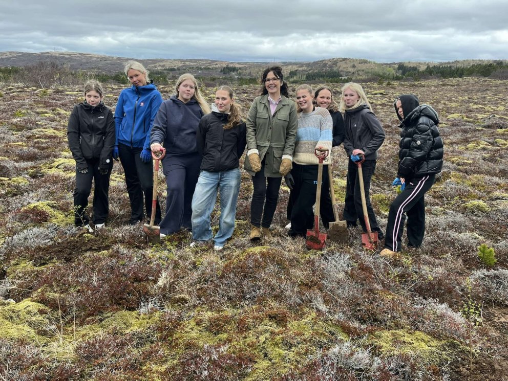 Flensborgarlundur verður að veruleika