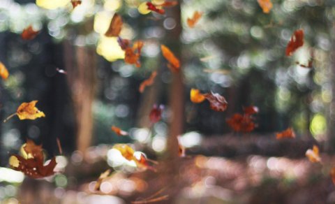 Ýmislegt framundan - leikhúsferð nýnema, valvika og haustfrí í lok vikunnar